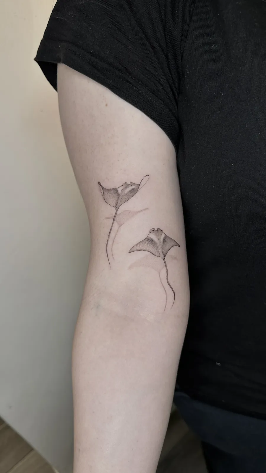 Duas raias tatuadas no braço