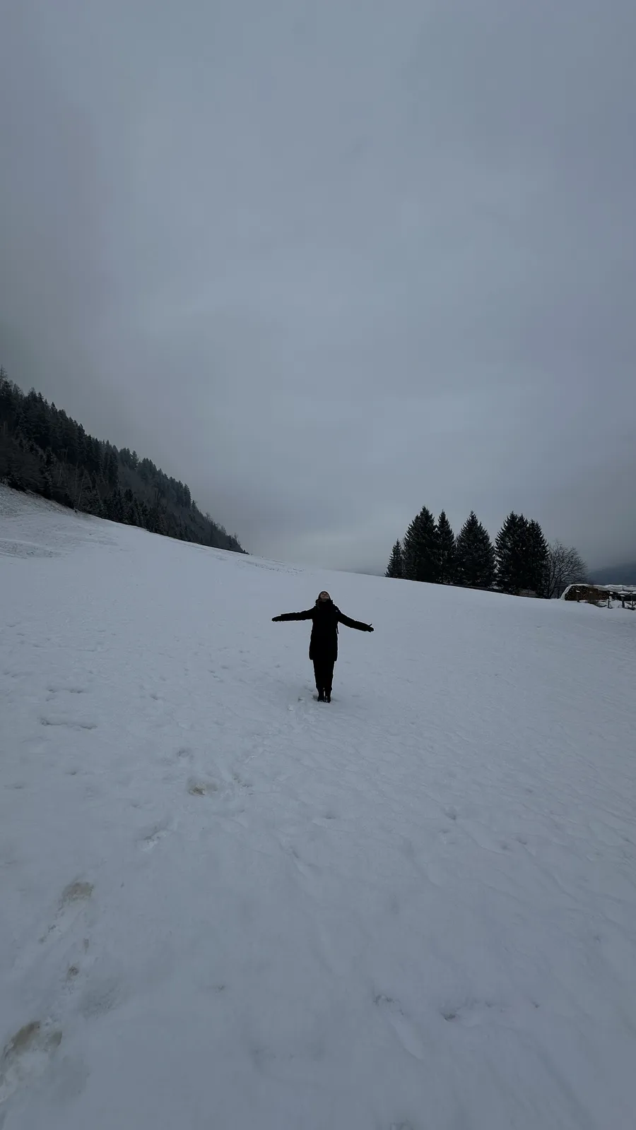 Talita de bra&ccedil;os abertos num campo de neve