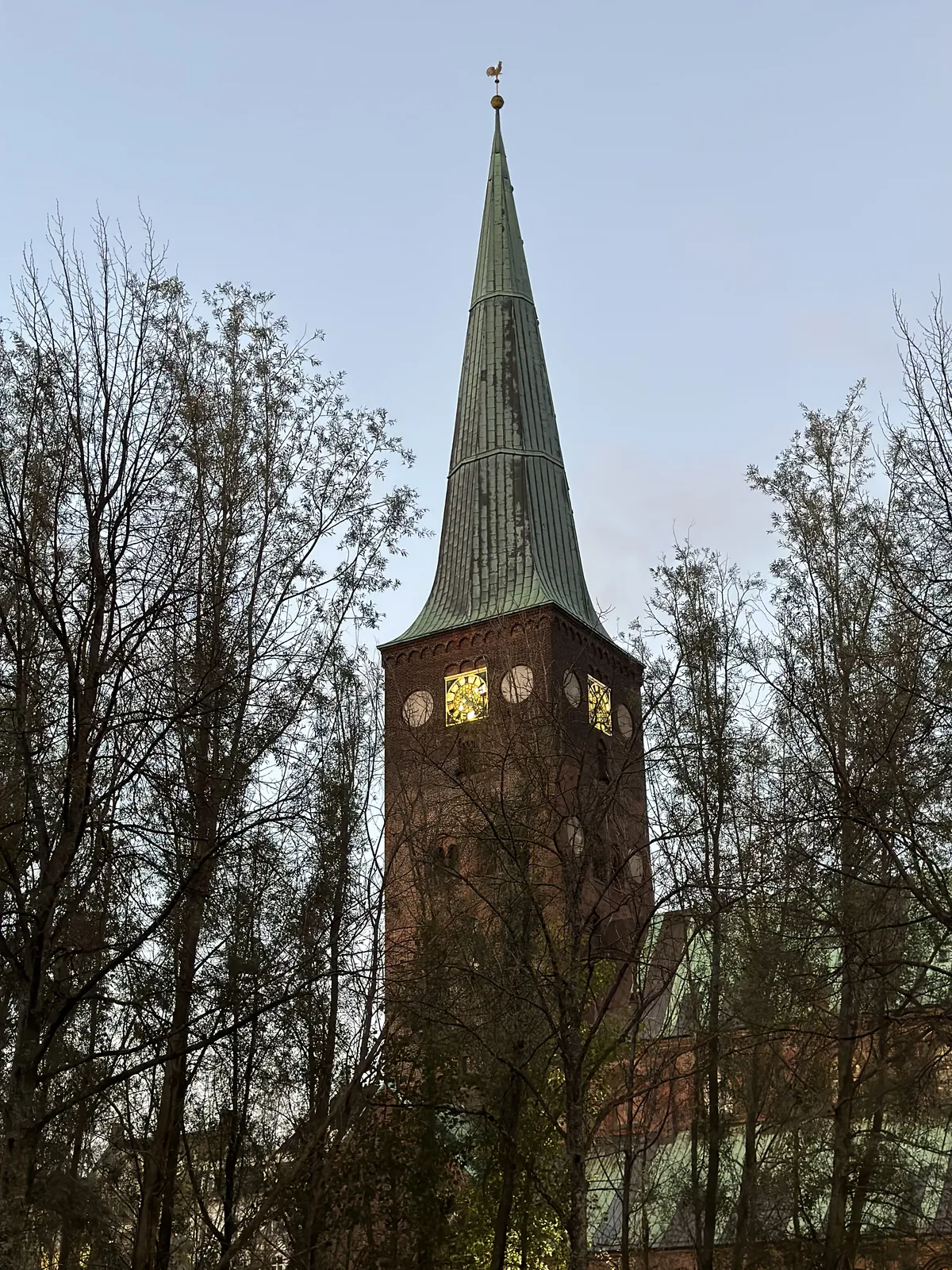 Torre de igreja entre &aacute;rvores